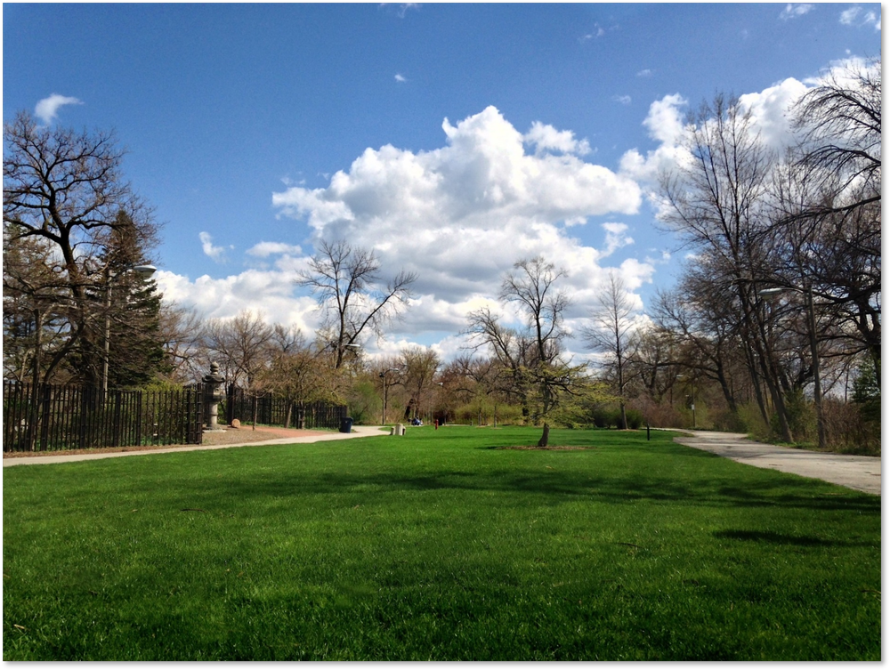 Skylanding-Retired — The Garden of the Phoenix Foundation
